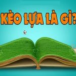 Kèo lựa là gì? Bí quyết đặt kèo lựa hiệu quả và dễ dành chiến thắng